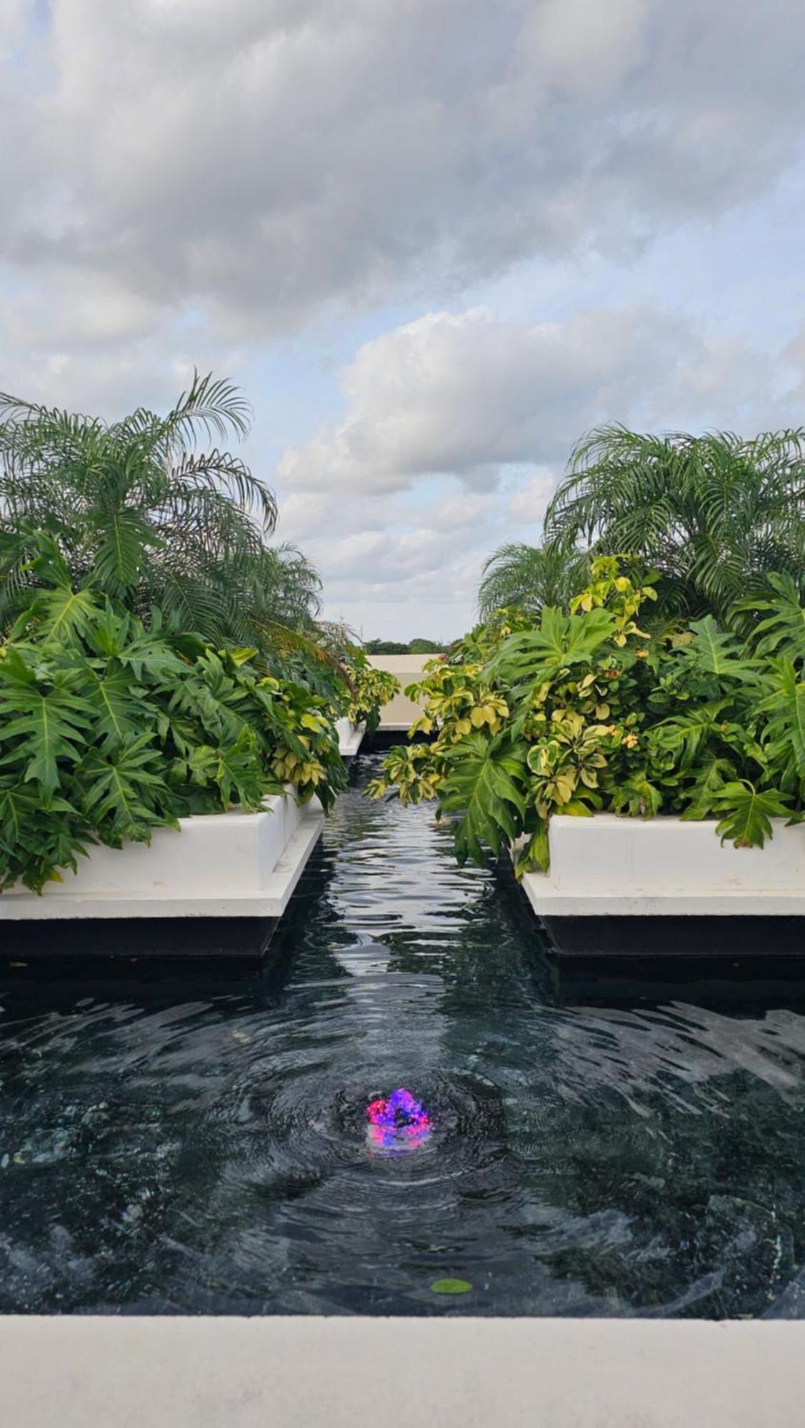 Xoza Hotel Urban Escape Cancún Zewnętrze zdjęcie
